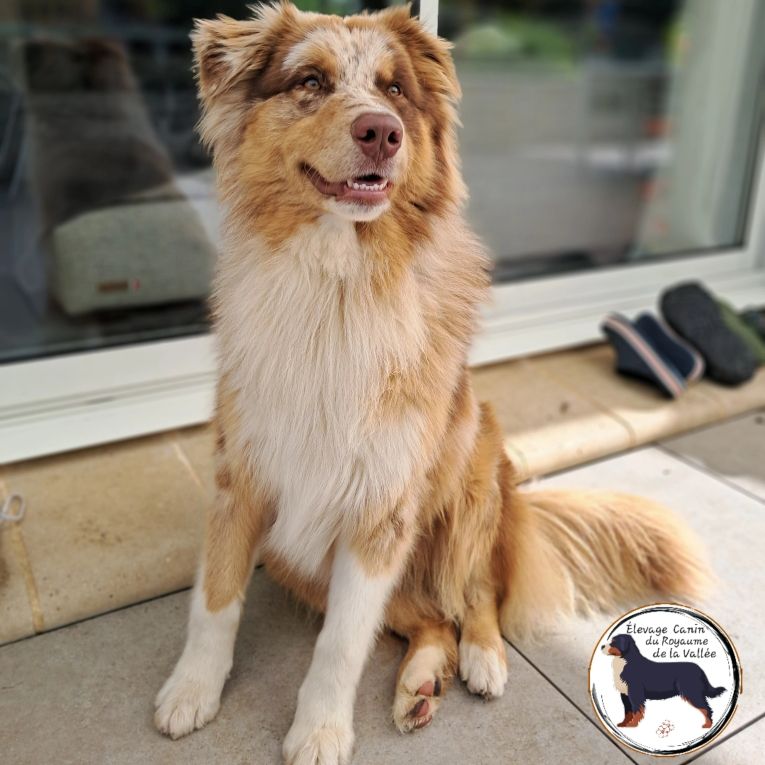 Vénom (Sans Affixe)