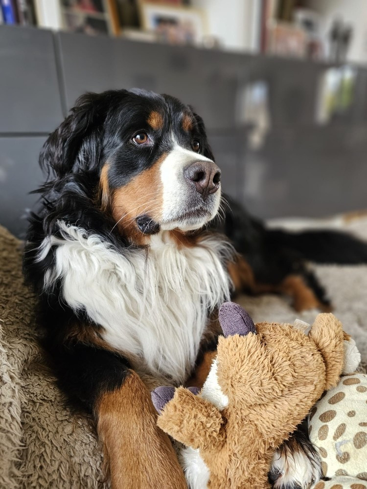 Uguette Du Royaume De La Vallée