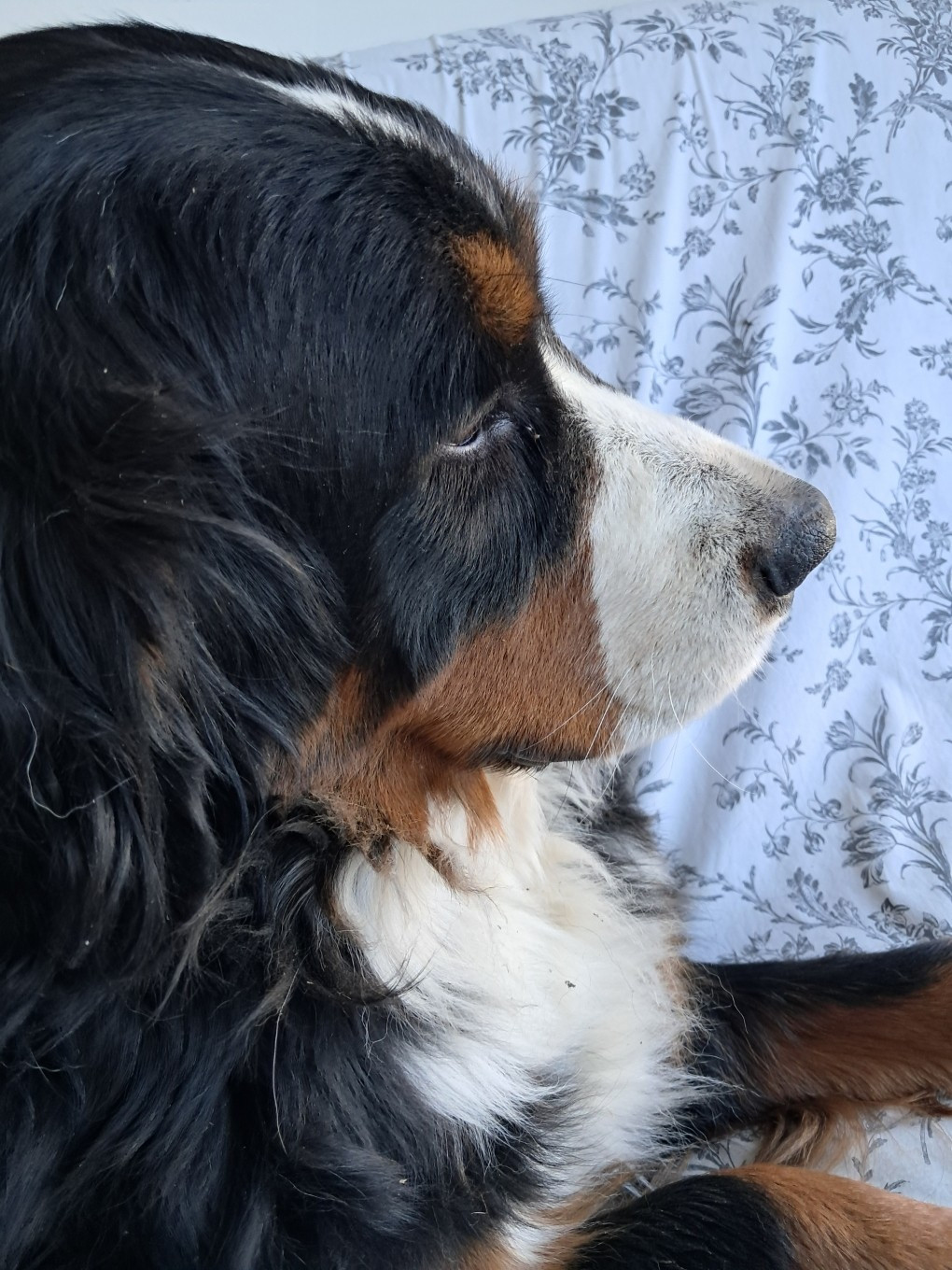 Utah Du Royaume De La Vallée