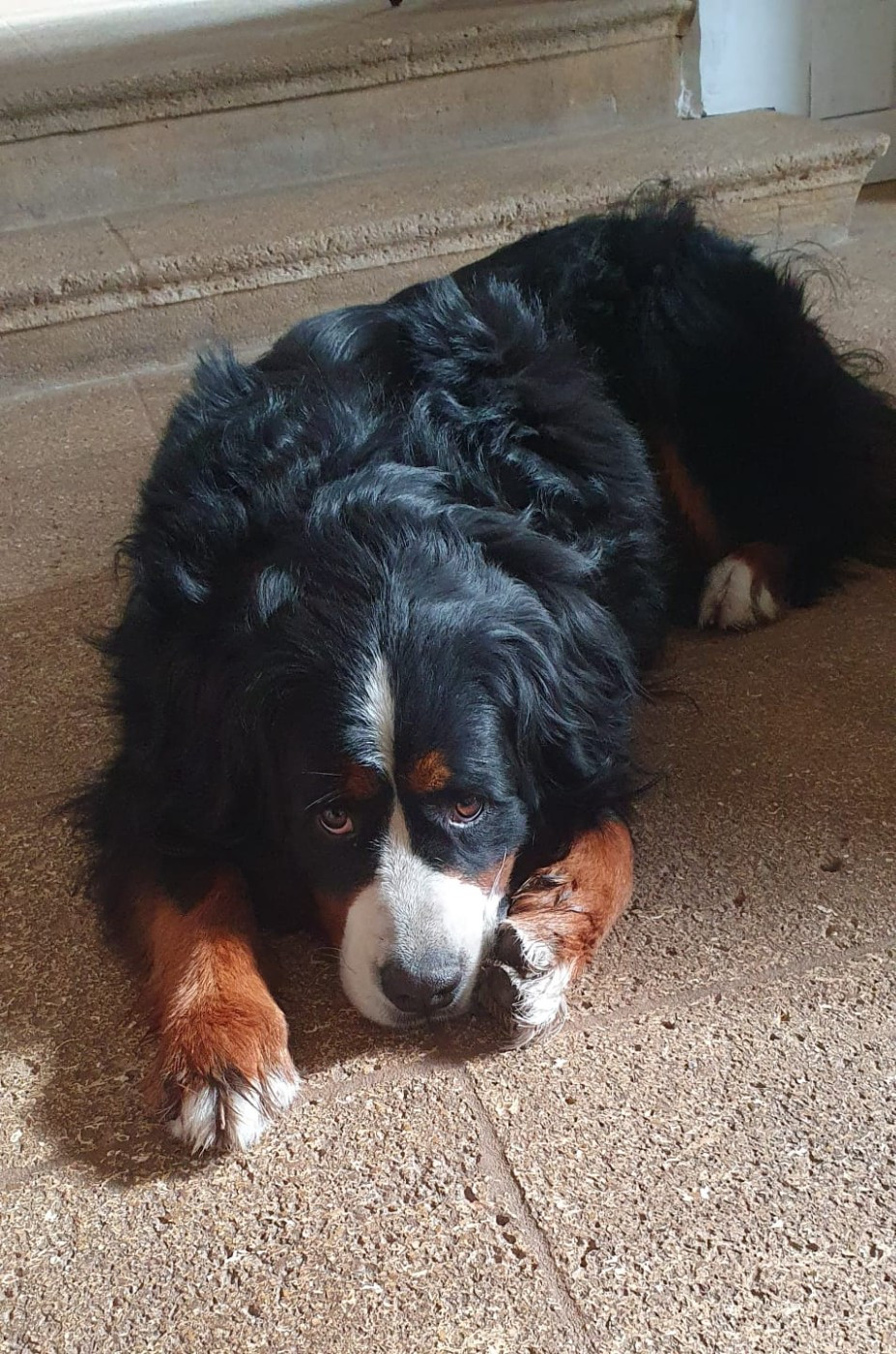 Una Du Royaume De La Vallée