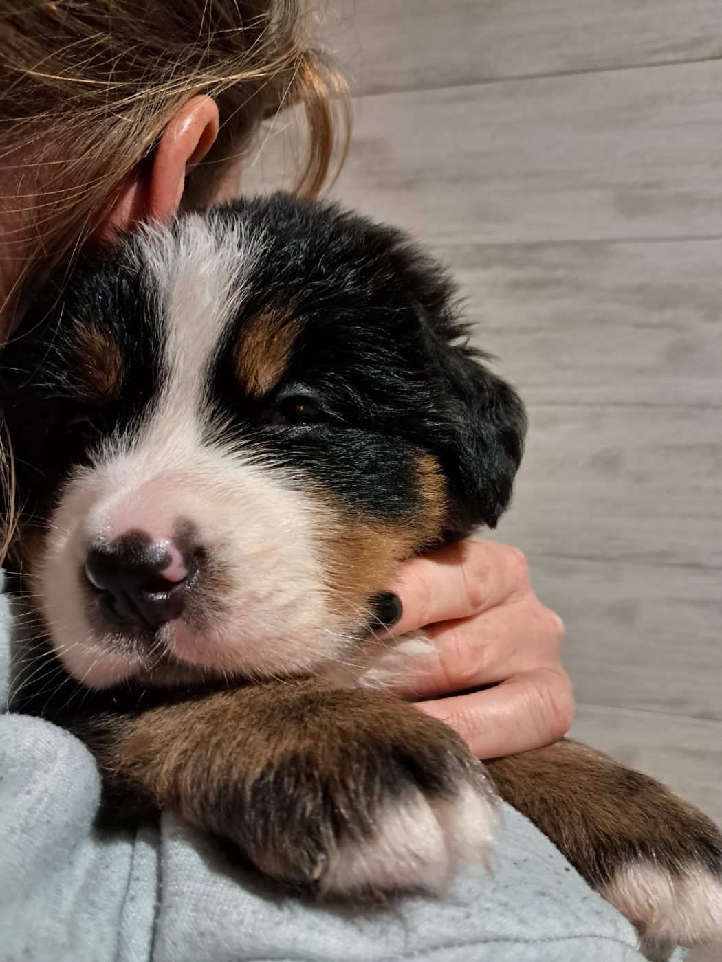 Bleu Du Royaume De La Vallée