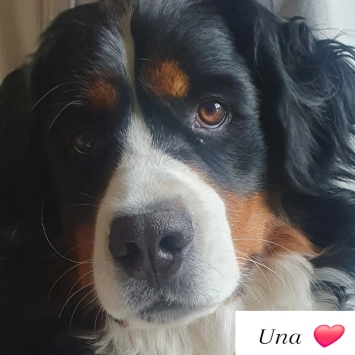 Una du Royaume de la Vallée